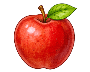 Illustration of a red apple