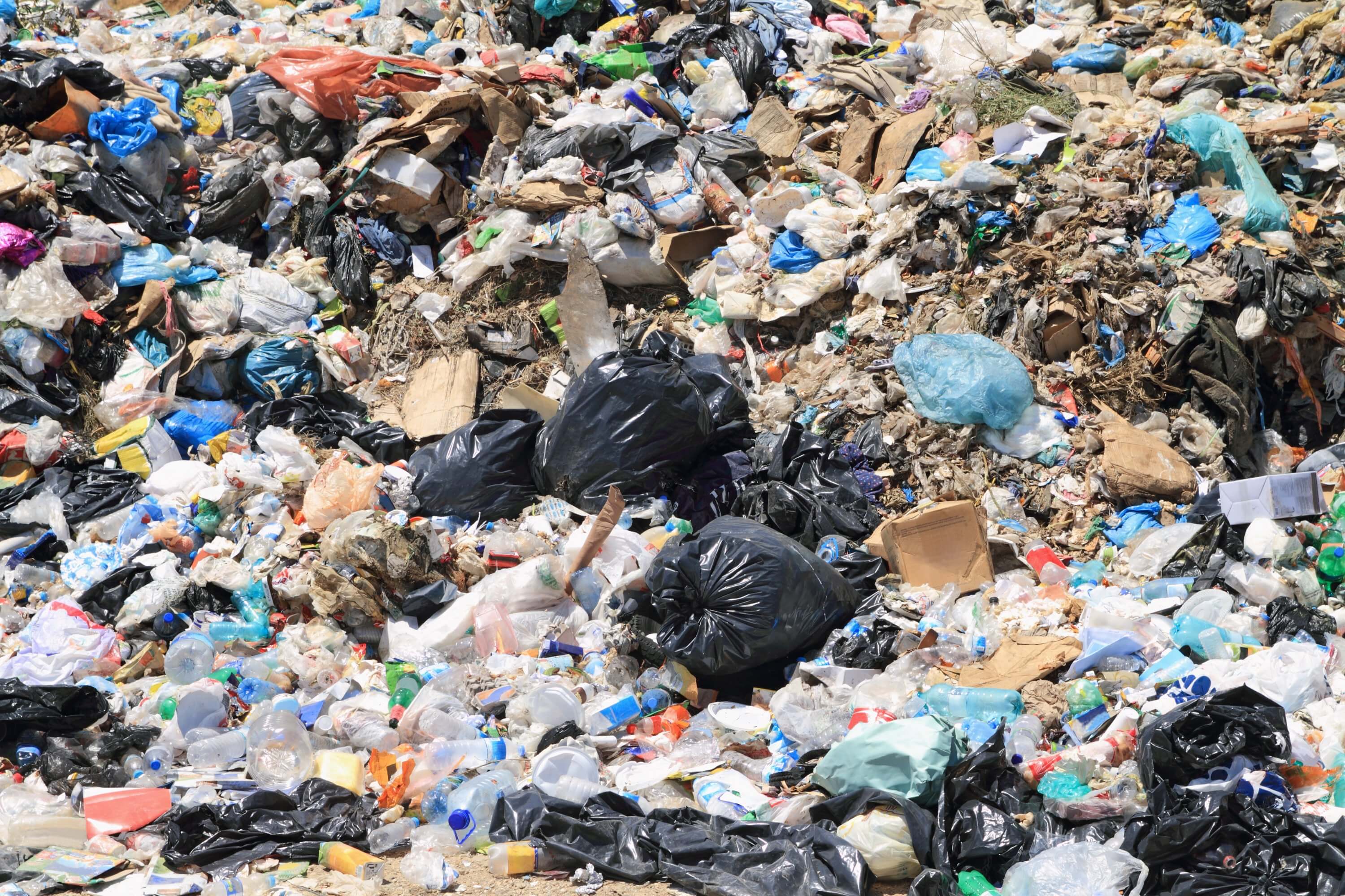 Garbage piled high in the landfill
